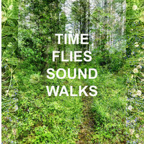 time flies sound walks cover art