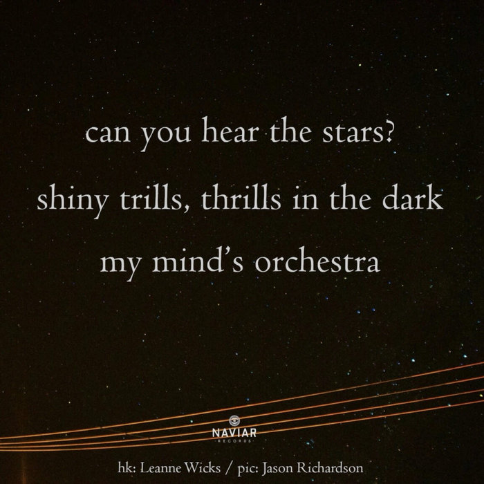 The Starry Night I Never Saw NAVIARHAIKU635, by John Wright