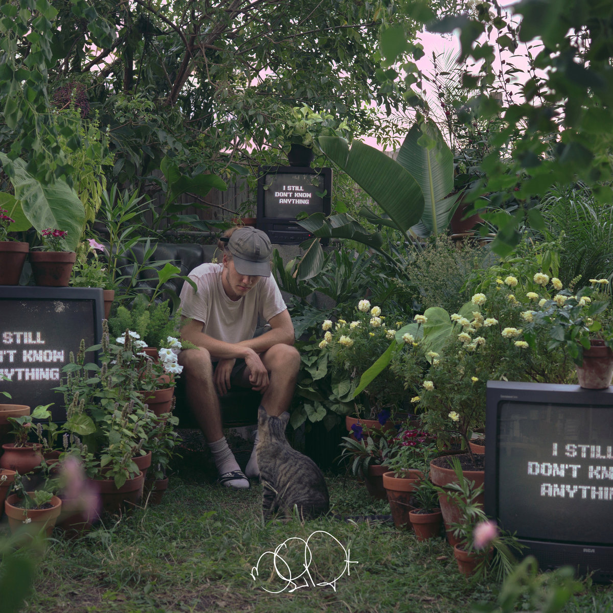 I Still Don T Know Anything Albert B