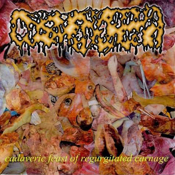 Cadaver Carnage スプリット盤 デスメタル CARNAGE Dark Recollections / Hallucinating Anxiety reviews