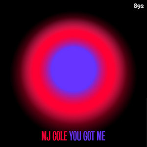 You Got Me cover