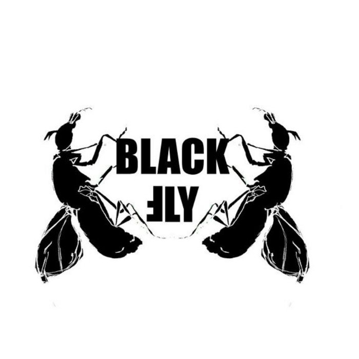 Demo | Black Fly