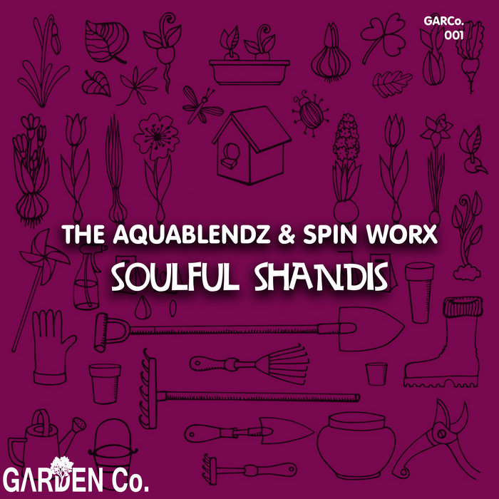 Soulful Shandis The AquaBlendz & Spin Worx Spin Worx