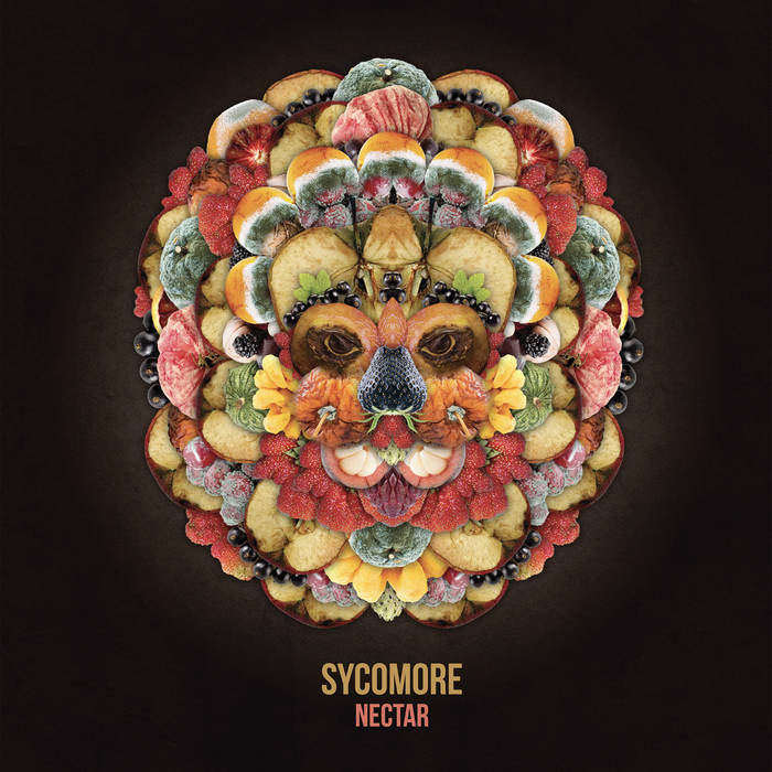 米LP Sycomore Sycomore VES725S CELEBRATION RECORDS /00260 Sycomore – Sycomore – Vinyl (LP, Album), 1976 [r4382253