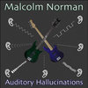 Auditory Hallucinations Cover Art