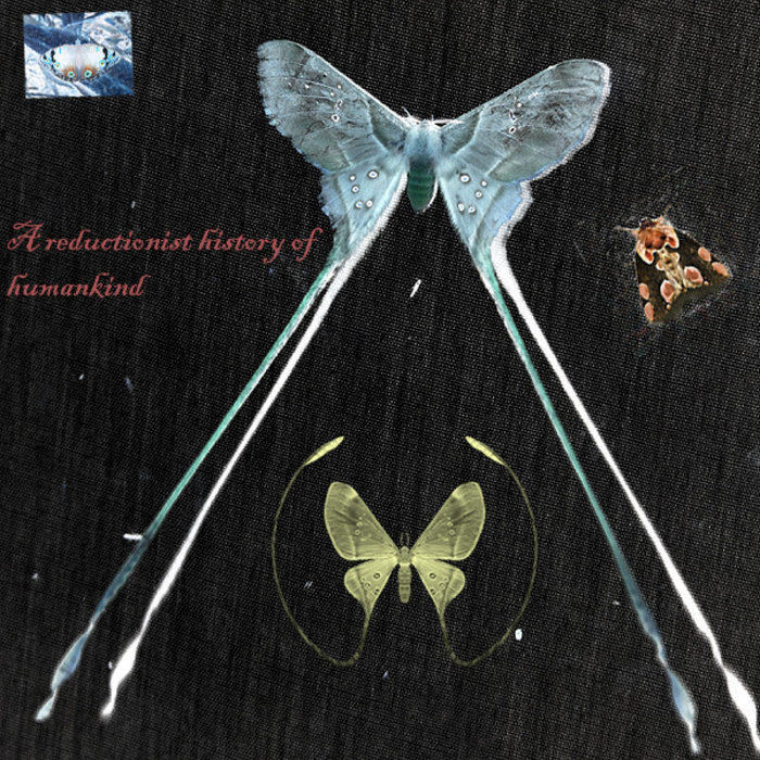 Reductionism Humans A Reductionist History of Humankind | Yorg