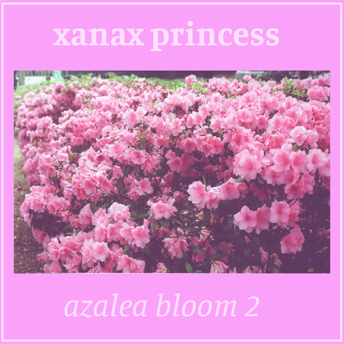One More Thing Xanax Princess