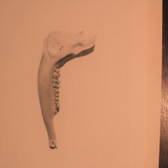 Inside & Out Walker McDonald