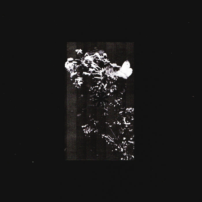 Pochette de Residue par L.Douglas