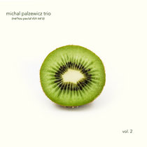 Michal Palzewicz Trio - Vol. 2 cover art