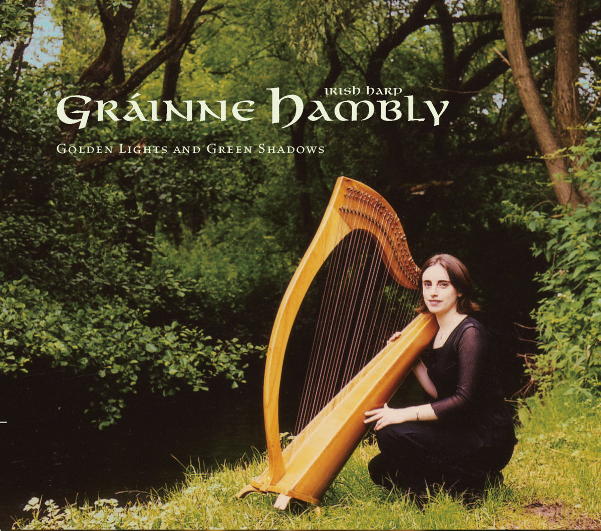 The Harp, acrylic on canvas, 33 x 45 cm © Giulia Coli., image size:1200x1062