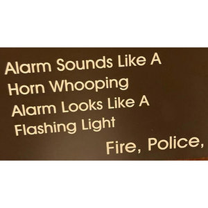 The Alarm Looks Like A Flashing Light / Busy Busy StillFranz Nicolay & Daniel D'Oca cover