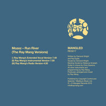 Run River (The Ray Mang Versions) cover art