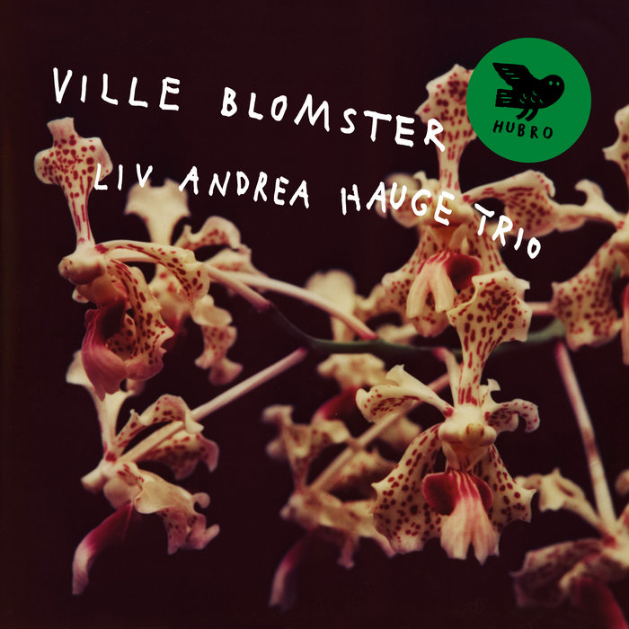 livandreahauge.bandcamp.com
