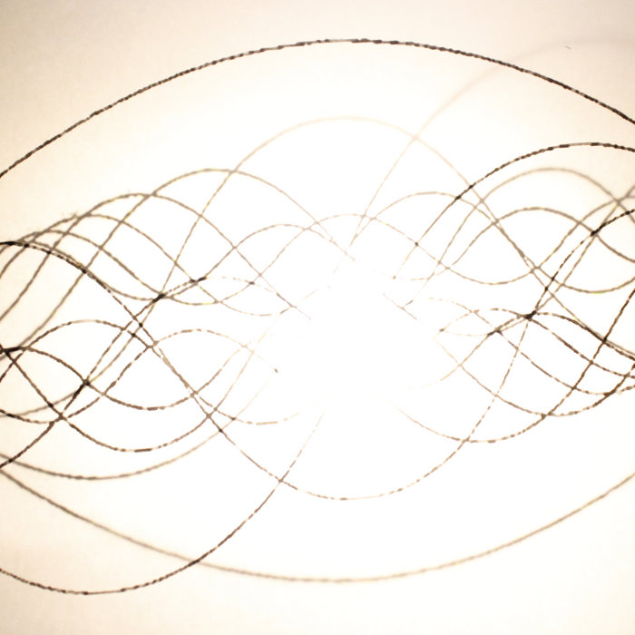 Bird Without a Cage Bird Without a Cage