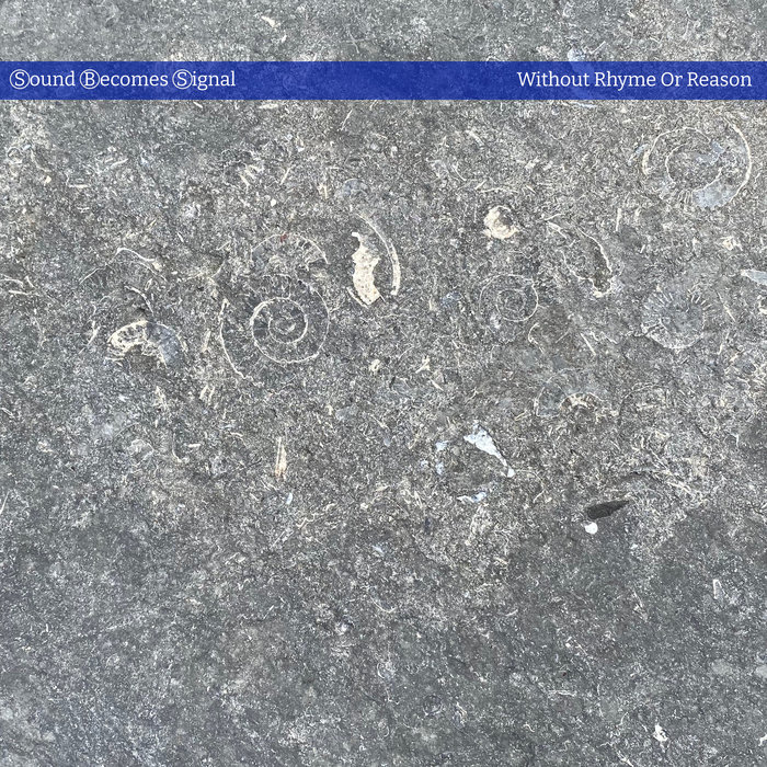 Without Rhyme Or Reason | Sound Becomes Signal