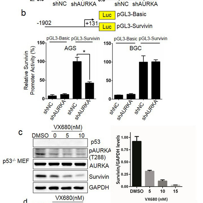 Differential Equation Maity Ghosh Pdf Download Vynbet imigkangi