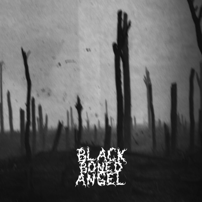 Verdun | BLACK BONED ANGEL | Riot Season Records