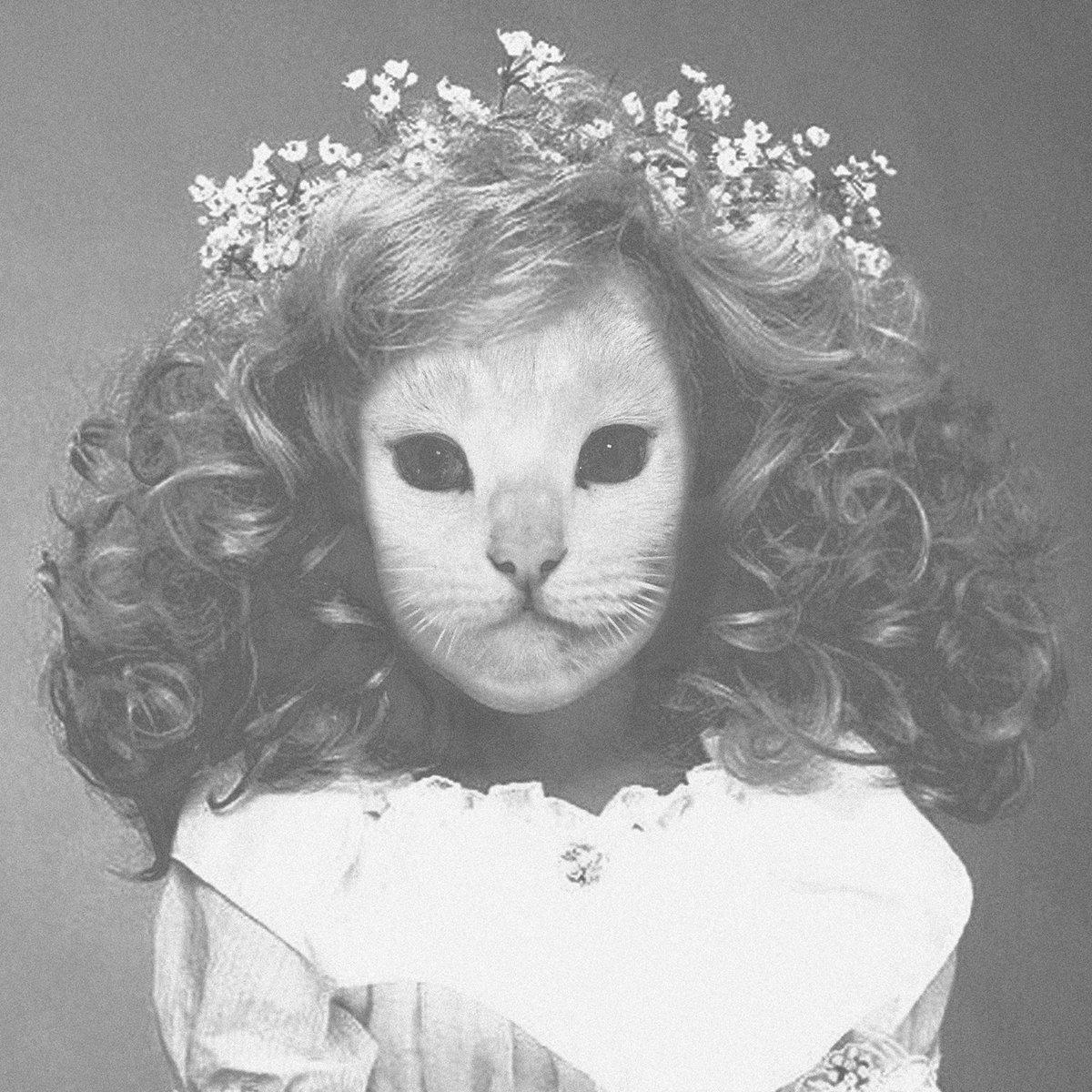 Eternity Remastered Mr Kitty Eternity Remastered Mr Kitty