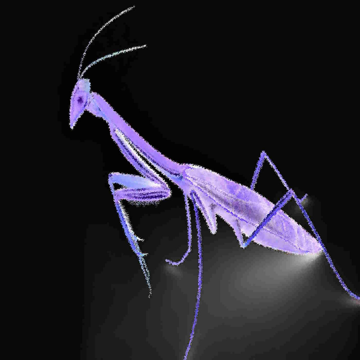 John paranormal RainX Bug Remover Washer Fluid 1gal Read reviews for