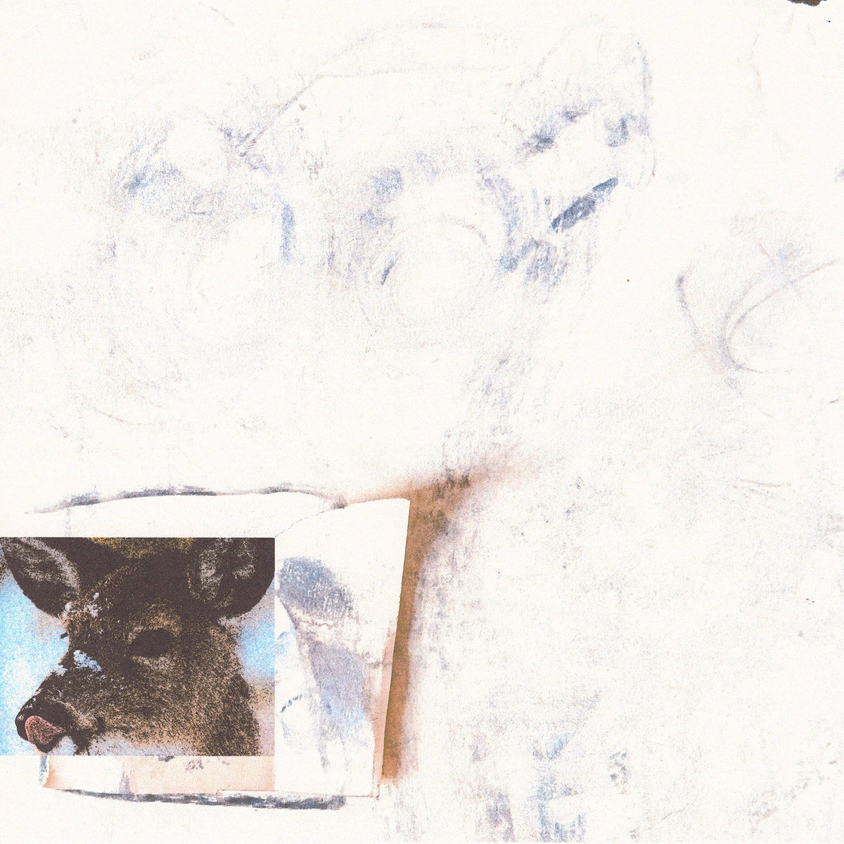 Deer In The Headlights by Twine