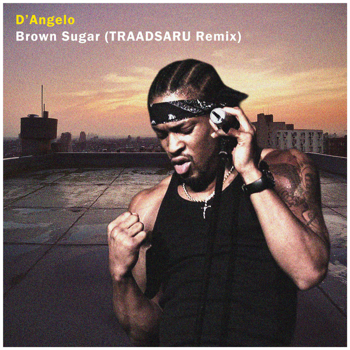 希少 D'Angelo Brown Sugar Unreleased Remix 商品の説明Various – New