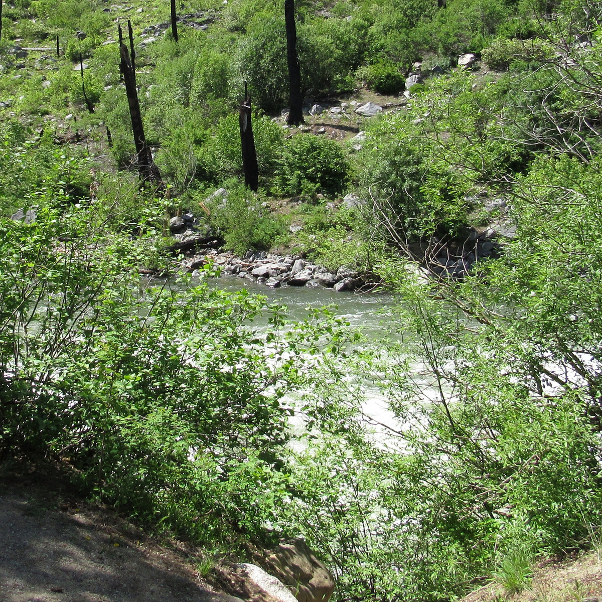 Wenatchee River Kino