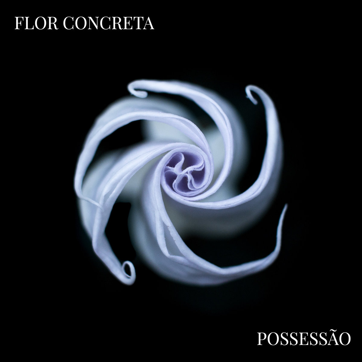 Possessão, Flor Concreta