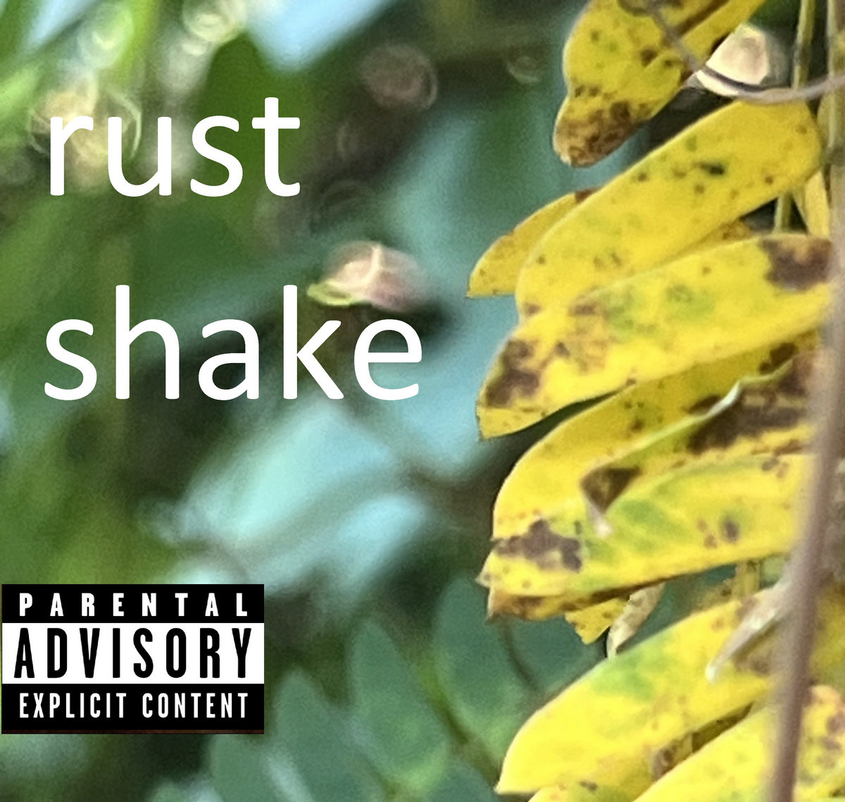Rust Milkshake rust shake | Robbie Dooley Music