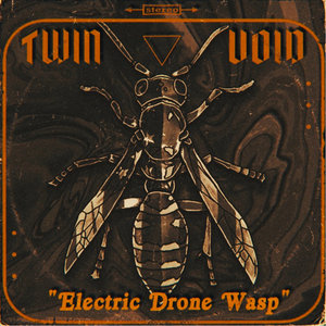 Twin Void — Electric Drone Wasp