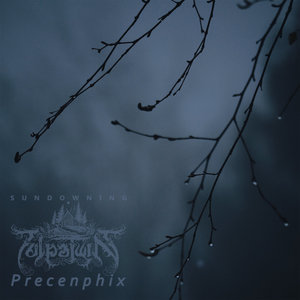 SundowningTulpa Twin & Precenphix cover
