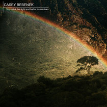 You drink the light and bathe in shadows cover art