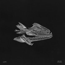 Trail — Tenebris EP