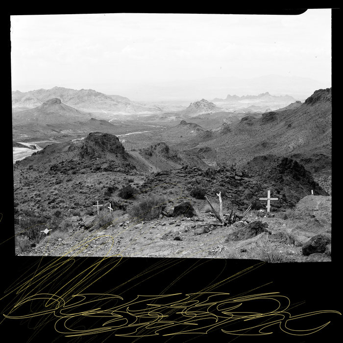 洋楽 Fungus The Rookie Season Food Sweden CD 洋楽 Fungus The Rookie Season Food Sweden CD Fungus The