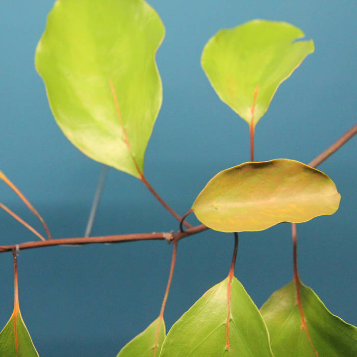 OPIATE 『POSSIBLE』 ALVA NOTO REMODEL