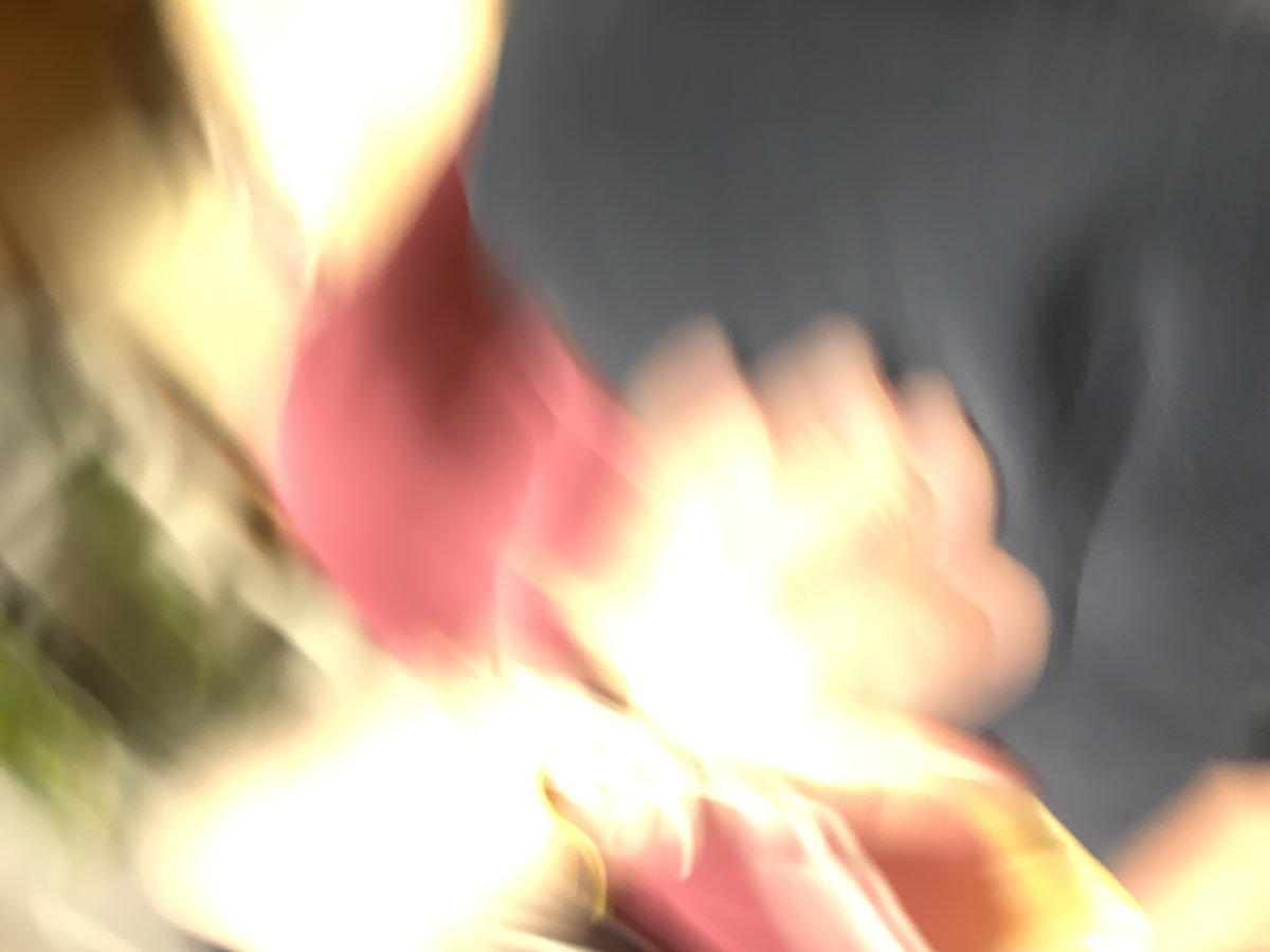 The Flowers of Pessimism The flowers of pessimism