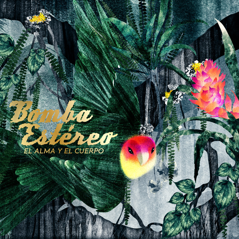 Resultado de imagen para el alma y el cuerpo bomba estereo