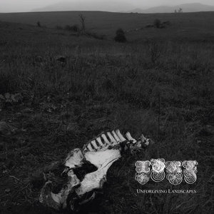 Unforgiving Landscapes cover