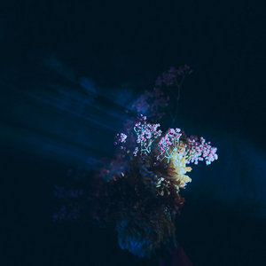 Senses Fail — Lush Rimbaugh (Thoreau Remix)