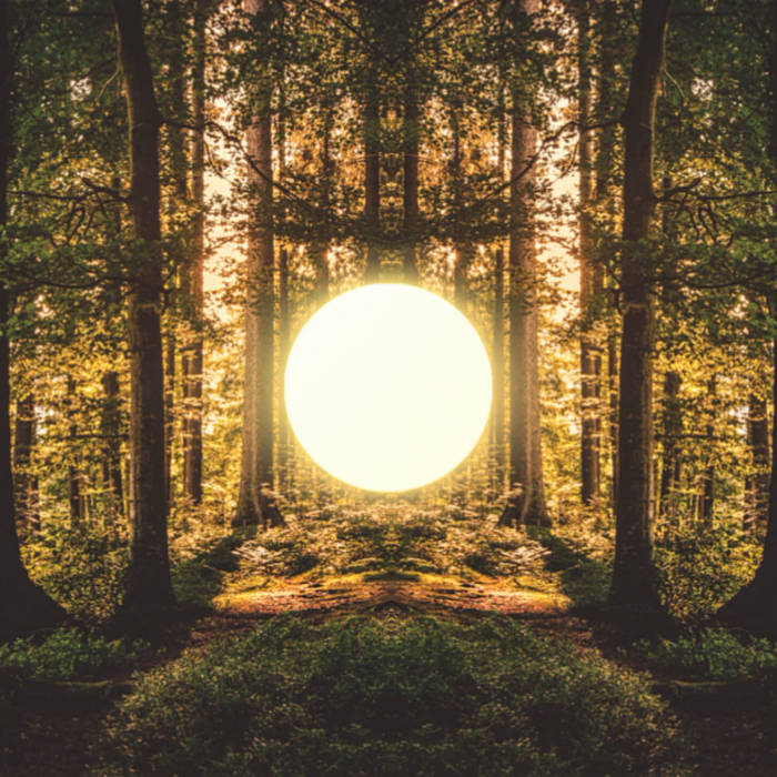 Breathwork Beats #5 (Wim Hof Breathing, 30 min journey) | Touek