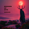 Sounds of Dýr — Nomad