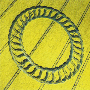 Full Circle (1999)Chris Cunningham (with Sixth Sense) cover