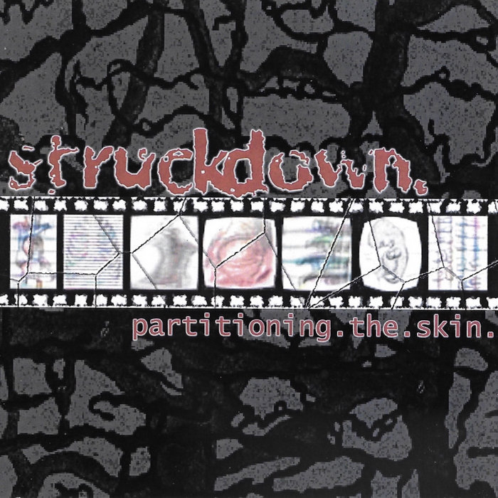 Partitioning The Skin Struckdown (NJ)