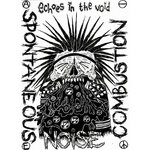 Spontaneous Noize Combustion - Echoes in the Void - Flexi Demo
