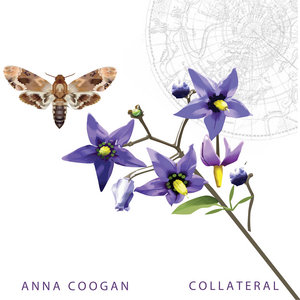 Collateral cover