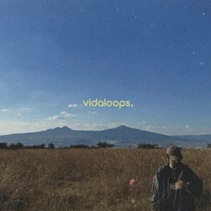 Sunn O))) — Vidaloops