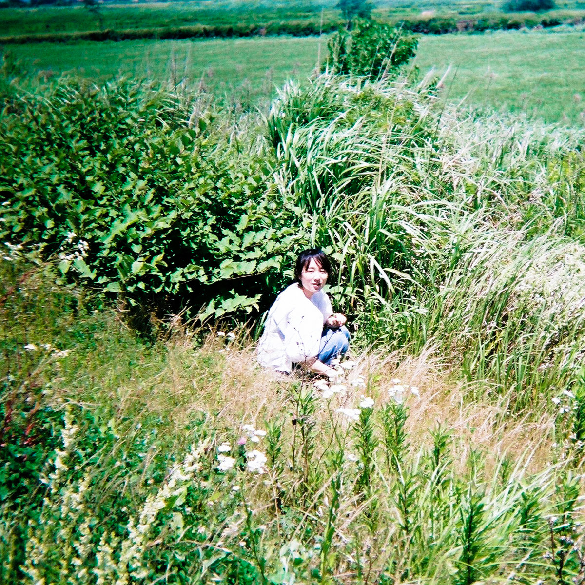 邦楽 nakayosh l CD limited s-l1200.png