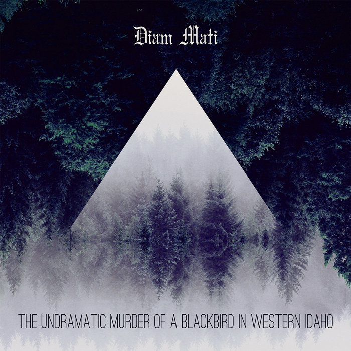 The Undramatic Murder of a Blackbird in Western Idaho | Diam Mati