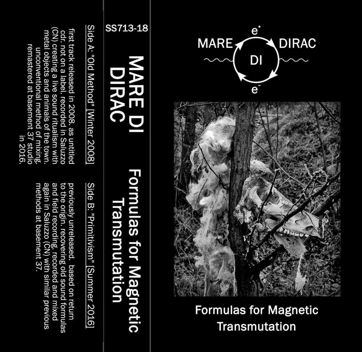 MARE DI DIRAC Formulas for Transmutation SoundScape713