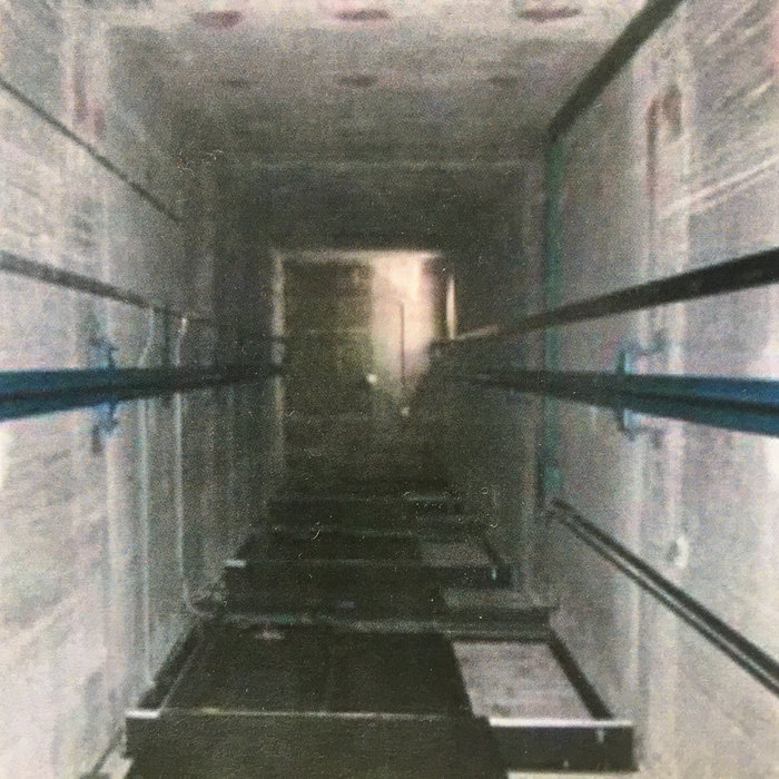 Empire State Elevators the Rise And Fall Of Empire State Elevators Carl Pannuzzo